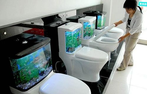 Aquarium-Toiletten