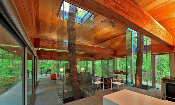 Die besten 100 Bilder in der Kategorie wohnen: Haus, wohnen, Wald, Glas, modern
