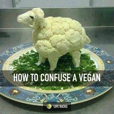 Schaf, Blumenkohl, vegan