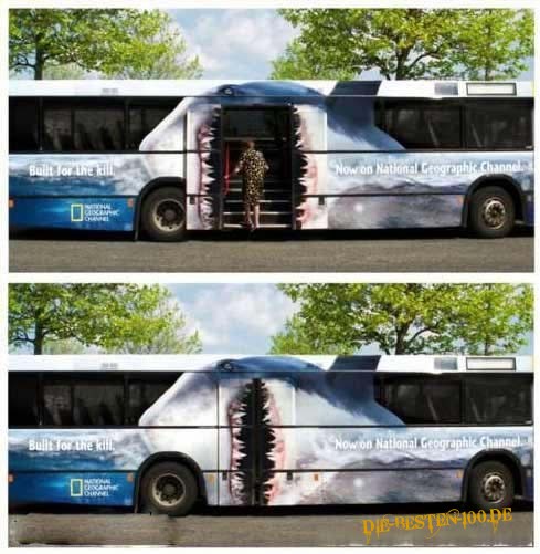 Die besten 100 Bilder in der Kategorie werbung: Weisser Hai auf Bus - Werbung