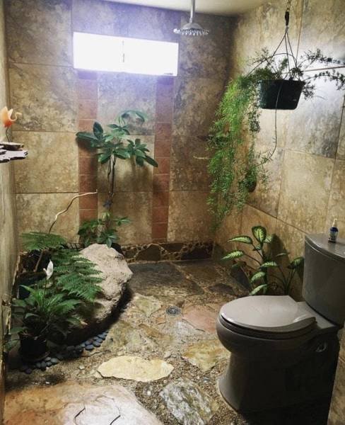 Pflanzen, Dusche, Toilette, Urwald