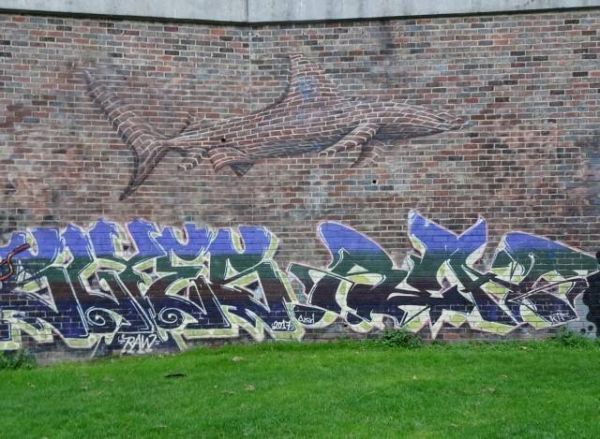 Die besten 100 Bilder in der Kategorie graffiti: Mauer, 3D, optische TÃ¤uschung, Hai, Grafitti, cool