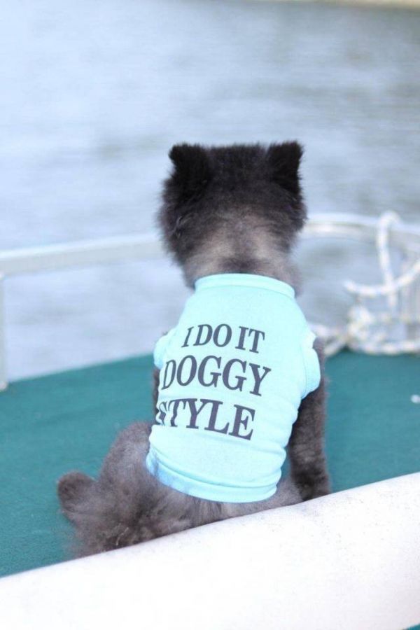 Die besten 100 Bilder in der Kategorie t-shirt_sprueche: Doggy Style, T-Shirt, Spruch, Hund