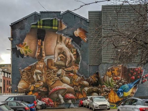 Die besten 100 Bilder in der Kategorie graffiti: Graffiti, Wald, Laub, 3D, realistisch, Pilze, Hauswand