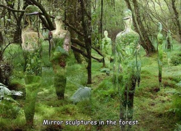 Spiegel, Wald, Kunst, Skulpturen, Ausserirdische