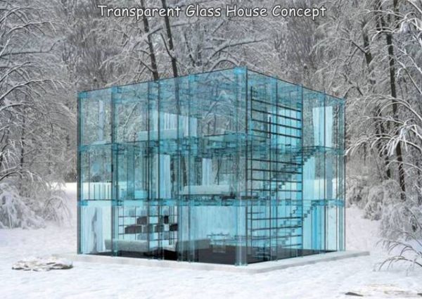 Glas, Haus, Wald