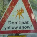 The Best Pics:  Position 54 in  - Funny  : Don't eat yellow snow!
