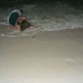 Die besten Bilder in der Kategorie betrunkene: Betrunken am Strand