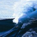 Die besten Bilder:  Position 25 in natur - Monster-Wave/Welle