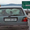 Die besten Bilder in der Kategorie transport: Auto-Transport Kalb