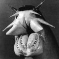 The Best Pics:  Position 101 in  - Funny  : Hagfish