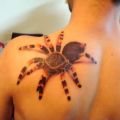 Die besten Bilder:  Position 26 in coole tattoos - tattoo, fun, spider, spinne