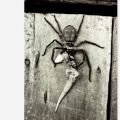 Die besten Bilder:  Position 39 in spinnentiere - Spinnen