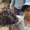 Die besten Bilder in der Kategorie nahrung: Spinnen-Delikatesse aus Kambodscha