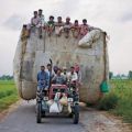 The Best Pics:  Position 23 in  - Funny  : Indische Ernten-Transport