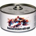 Die besten Bilder in der Kategorie nahrung: gebratene Grillen mit Ei
