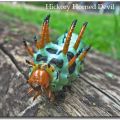 Die besten Bilder:  Position 43 in insekten - Hickory Horned Devil