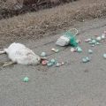 Die besten Bilder in der Kategorie quatsch: hase, ostern, schwarz