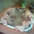 The Best Pics:  Position 79 in  - Funny  : 4 Chicks in Whirlpool