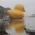 The Best Pics:  Position 30 in  - Funny  : quietscheente, ente