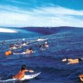 Die besten Bilder in der Kategorie natur: Teahupoo Wave - Riesenwelle