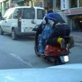 The Best Pics:  Position 45 in  - Funny  : transport, roller