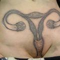 Die besten Bilder in der Kategorie intim_tattoos: Gebärmutter mit Eierstöcken - Tattoo