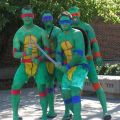 Die besten Bilder in der Kategorie verkleidungen: Ninja-Turtles