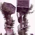Die besten Bilder in der Kategorie wohnen: Extrem-Baumhäuser