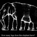 Die besten Bilder in der Kategorie optischetaeuschung: Wieviele Füße hat der Elephant