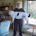 The Best Pics:  Position 110 in  - Funny  : RiesenKatze