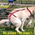 Die besten Bilder in der Kategorie hunde: PooTrap, Mobiles Hundeklo