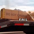 The Best Pics:  Position 50 in  - Funny  : Do not crush - FAIL