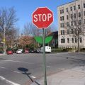 The Best Pics:  Position 158 in  - Funny  : Stop-Schild als Blume