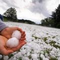 Die besten Bilder in der Kategorie natur: Riesen-Hagel-Körner