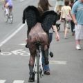 Die besten Bilder in der Kategorie verkleidungen: fahrrad, engel