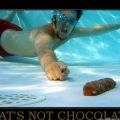 Die besten Bilder in der Kategorie schlimme_sachen: That's not Chocolate! Kacke im Pool! Sinker!