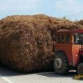 The Best Pics:  Position 78 in  - Funny  : Traktor transportiert Stroh