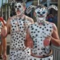 Die besten Bilder in der Kategorie verkleidungen: Dalmatiner
