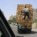 The Best Pics:  Position 70 in  - Funny  : Holzkisten-Transport