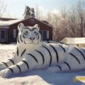 Die besten Bilder:  Position 12 in schnee - Schnee-Tiger
