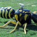 Die besten Bilder in der Kategorie allgemein: Wespen-RC Hubschauber