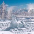 Die besten Bilder:  Position 25 in schnee - Schneepferd