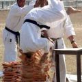 Die besten Bilder:  Position 76 in sport - karate mit Ziegelsteinen