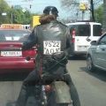 The Best Pics:  Position 8 in  - Funny  : Nummernschild auf Lederjacke