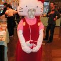 The Best Pics:  Position 328 in  - Funny  : Hello Kitty-Verkleidung