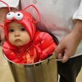 Die besten Bilder in der Kategorie verkleidungen: Koch mit Lobster im Kochtopf