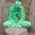 Die besten Bilder in der Kategorie verkleidungen: Kermit der Frosch -Verkleidung