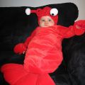 Die besten Bilder in der Kategorie verkleidungen: Lobster Baby-Verkleidung