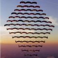 The Best Pics:  Position 16 in  - Funny  : Fallschirmspringer-Formation - Parachuting in Formation